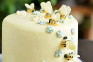 小蜜蜂生日蛋糕